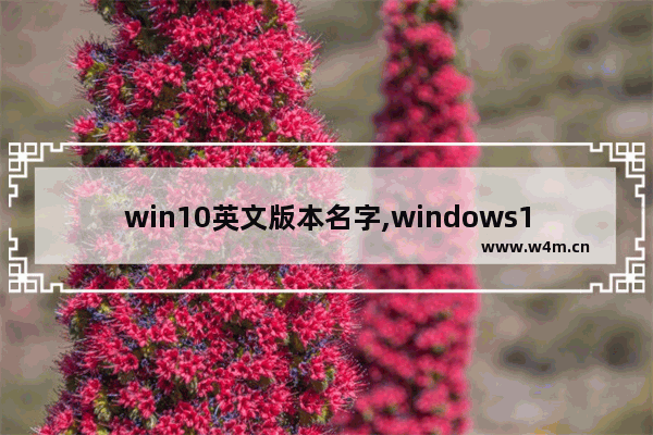 win10英文版本名字,windows10各版本英文名字