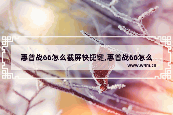 惠普战66怎么截屏快捷键,惠普战66怎么截屏咋保存