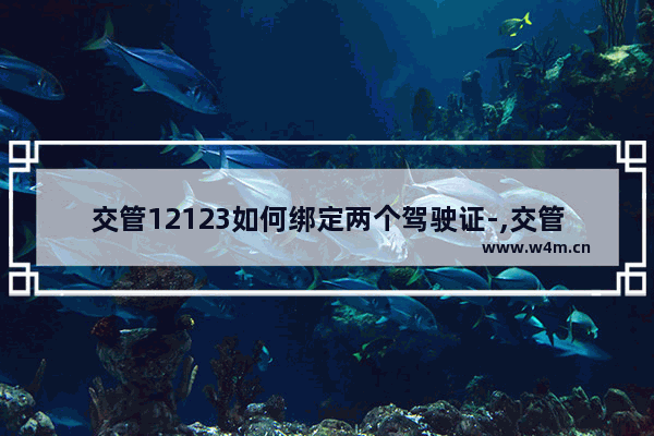 交管12123如何绑定两个驾驶证-,交管12123如何绑定两个驾驶证vivo手机