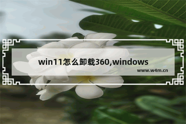 win11怎么卸载360,windows10如何删除360导航强制主页