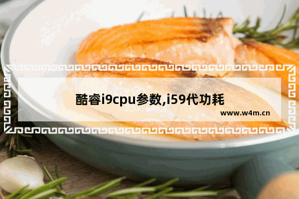 酷睿i9cpu参数,i59代功耗