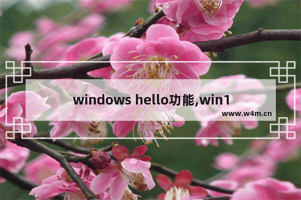 windows hello功能,win10设置windows hello