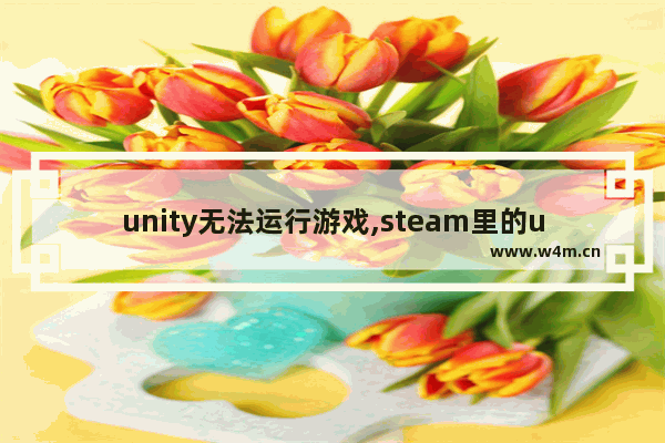 unity无法运行游戏,steam里的unity游戏玩不了