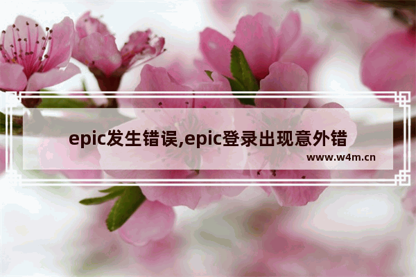 epic发生错误,epic登录出现意外错误