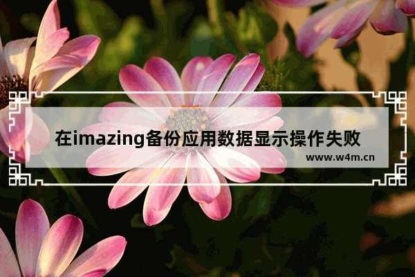 在imazing备份应用数据显示操作失败,imazing备份应用程序要多久