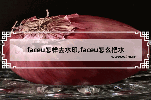 faceu怎样去水印,faceu怎么把水印去掉