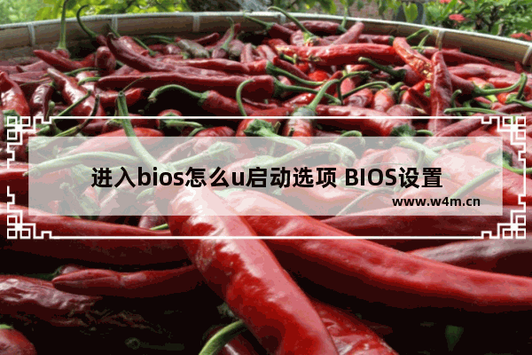 进入bios怎么u启动选项 BIOS设置：如何修改启动顺序？