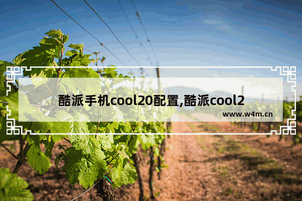 酷派手机cool20配置,酷派cool20什么处理器