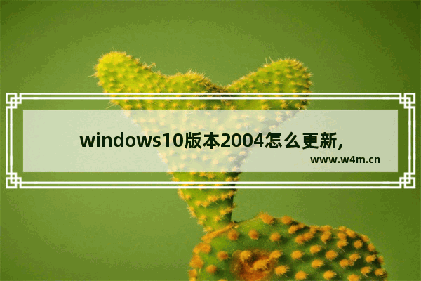 windows10版本2004怎么更新,window10怎么更新2004