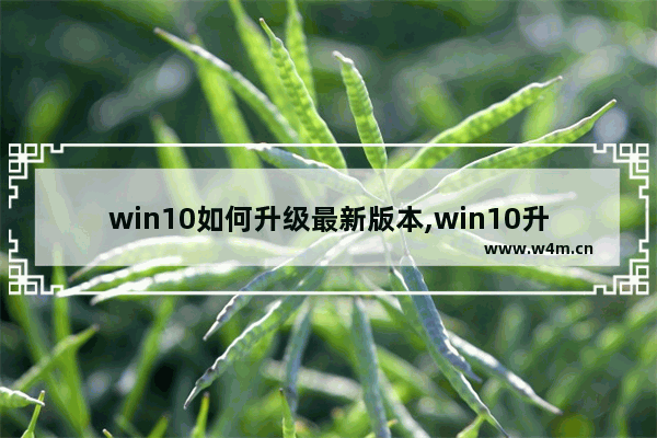 win10如何升级最新版本,win10升级步骤