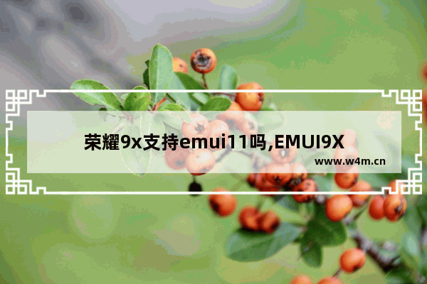 荣耀9x支持emui11吗,EMUI9X,10X ,11X