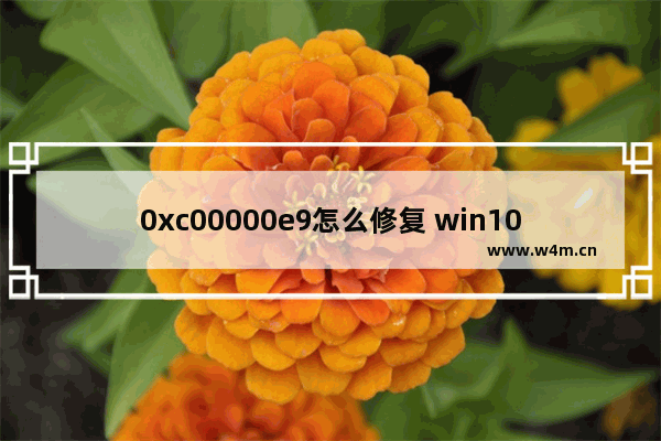 0xc00000e9怎么修复 win10,0xc00000e9怎么修复 无法进pe