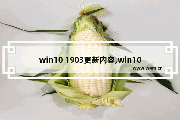 win10 1903更新内容,win10预览版系统更新