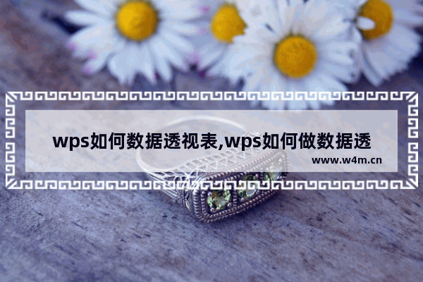 wps如何数据透视表,wps如何做数据透视表