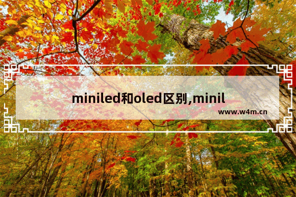 miniled和oled区别,miniled怎么样