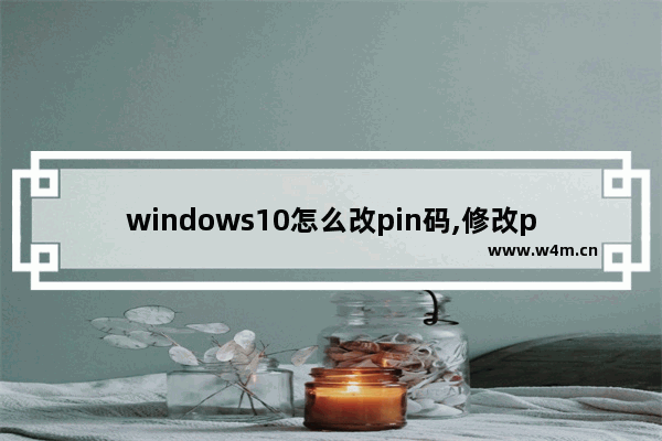 windows10怎么改pin码,修改pin码 win10