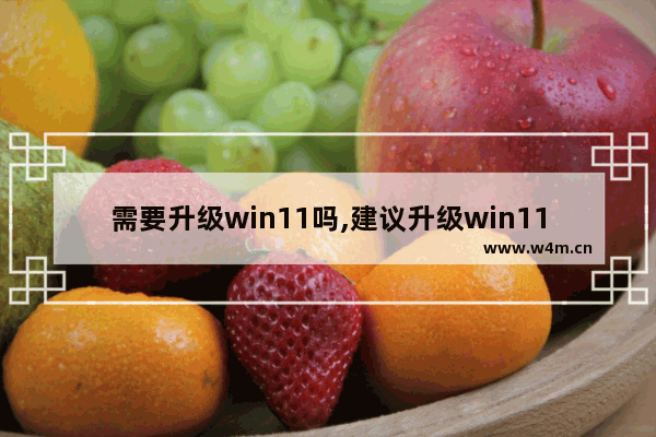 需要升级win11吗,建议升级win11吗