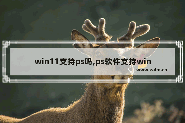 win11支持ps吗,ps软件支持win10系统吗