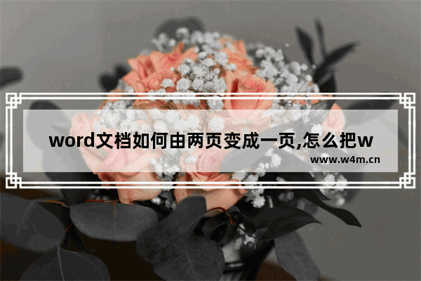 word文档如何由两页变成一页,怎么把word文档的两页变成一页