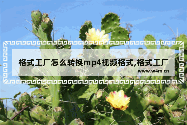 格式工厂怎么转换mp4视频格式,格式工厂转换mp4视频不完整