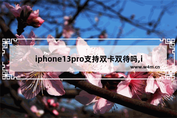 iphone13pro支持双卡双待吗,iPhone13pro支持双卡双待吗