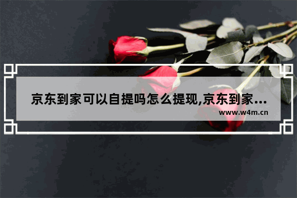 京东到家可以自提吗怎么提现,京东到家是否可以自提