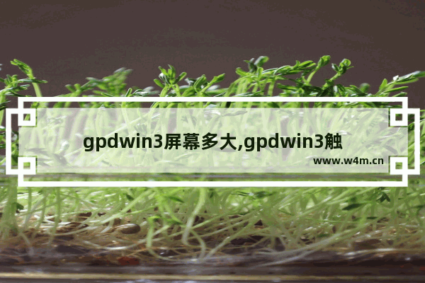 gpdwin3屏幕多大,gpdwin3触摸屏设置