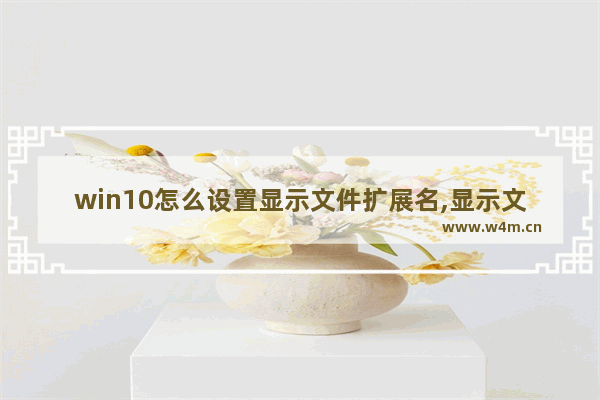 win10怎么设置显示文件扩展名,显示文件扩展名的方法win10