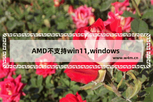 AMD不支持win11,windows 11 cpu不支持