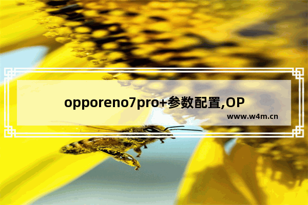 opporeno7pro+参数配置,OPPOreno8pro