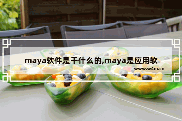 maya软件是干什么的,maya是应用软件吗