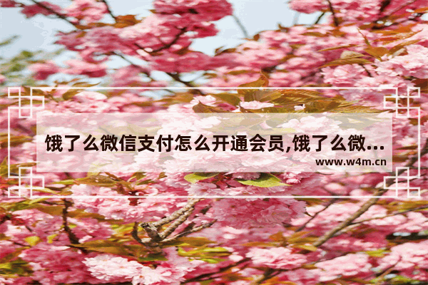 饿了么微信支付怎么开通会员,饿了么微信支付怎么开通免密支付