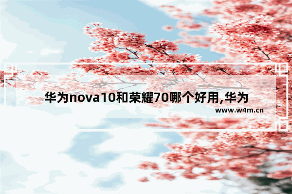 华为nova10和荣耀70哪个好用,华为nova10和荣耀10哪个好