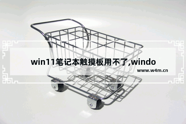 win11笔记本触摸板用不了,windows11可以触屏吗