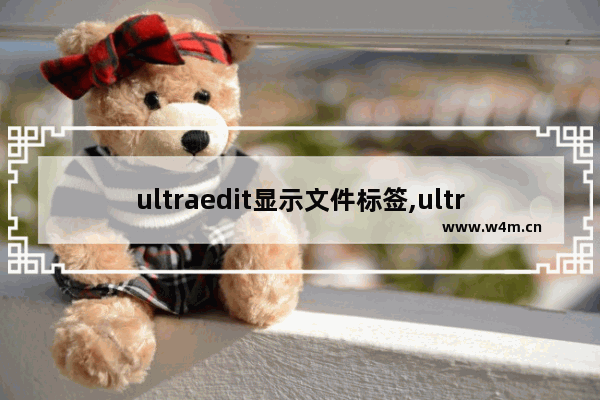 ultraedit显示文件标签,ultraedit显示不可见字符