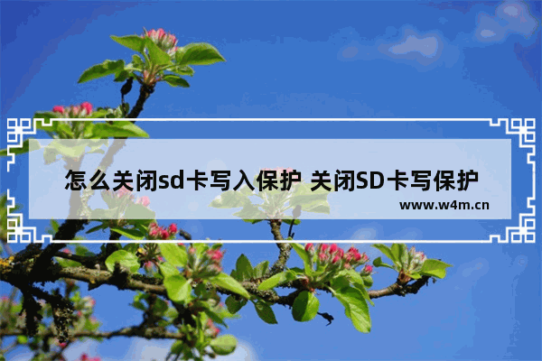 怎么关闭sd卡写入保护 关闭SD卡写保护的方法