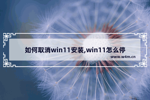 如何取消win11安装,win11怎么停止下载安装