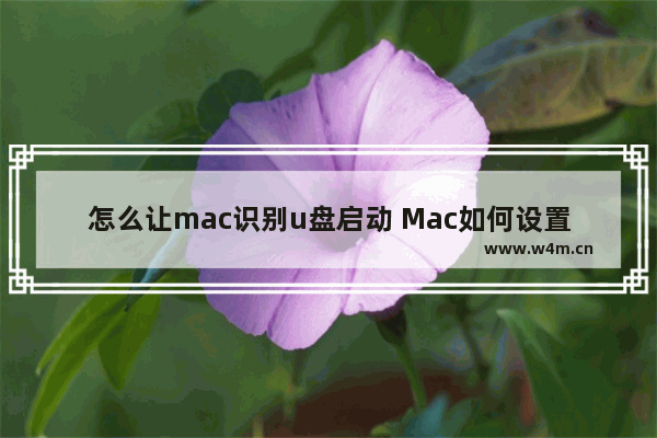 怎么让mac识别u盘启动 Mac如何设置U盘启动？