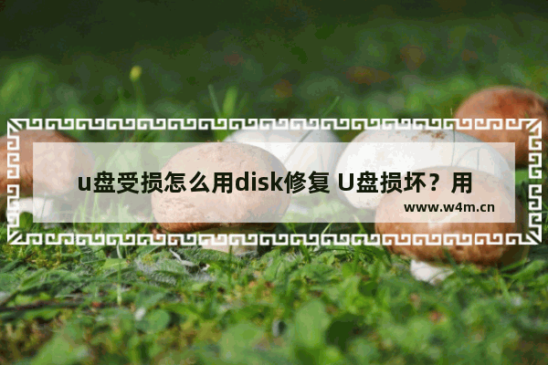 u盘受损怎么用disk修复 U盘损坏？用Disk修复来解救！