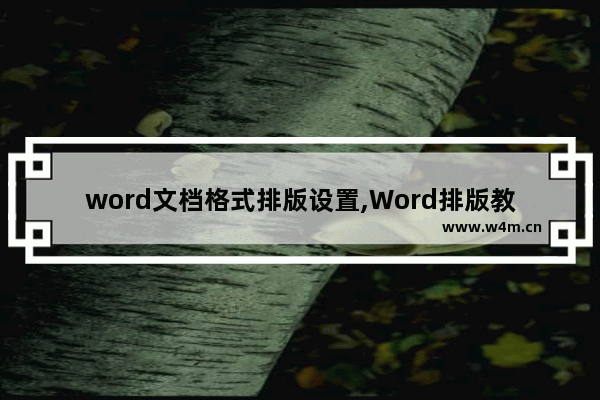 word文档格式排版设置,Word排版教程