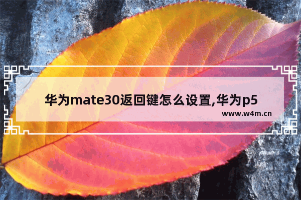 华为mate30返回键怎么设置,华为p50设置返回键