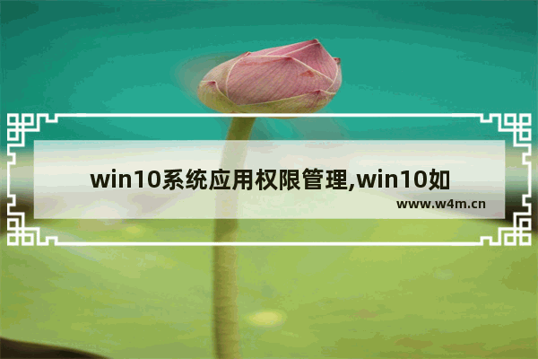 win10系统应用权限管理,win10如何管理应用权限