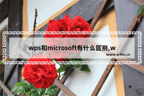 wps和microsoft有什么区别,wps和office区别在哪儿