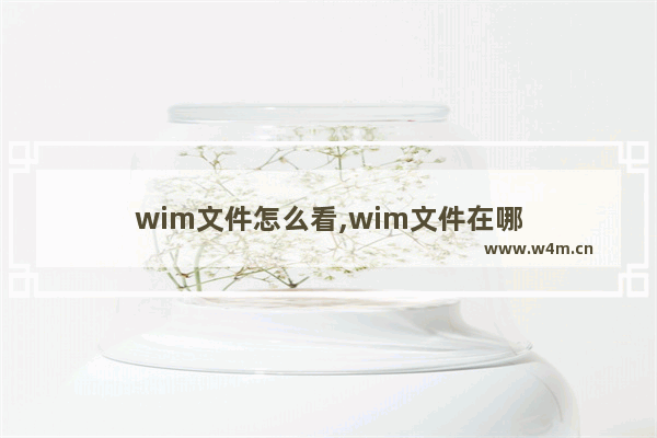 wim文件怎么看,wim文件在哪