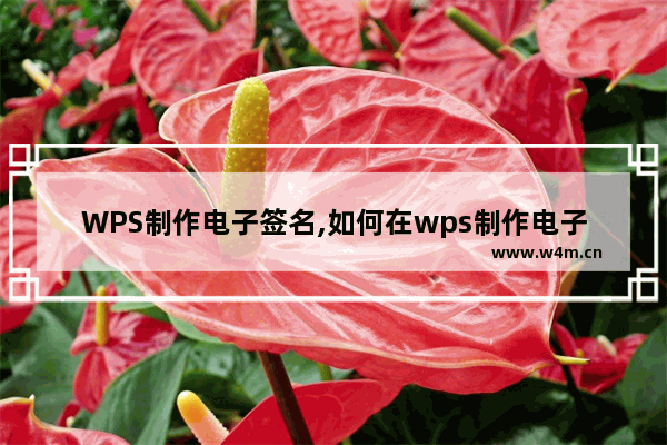 WPS制作电子签名,如何在wps制作电子签名