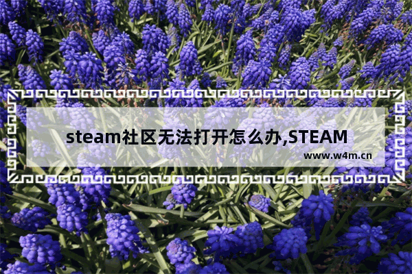 steam社区无法打开怎么办,STEAM社区打不开-很简单教你一招!