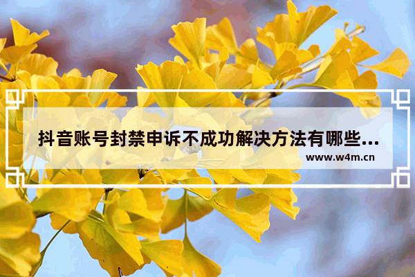 抖音账号封禁申诉不成功解决方法有哪些,抖音账号封禁申诉不成功解决方法是什么