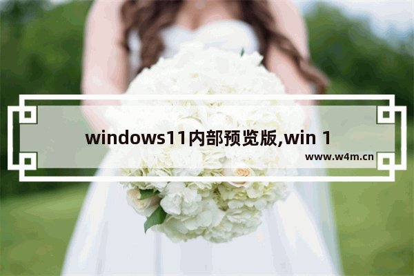 windows11内部预览版,win 11预览版