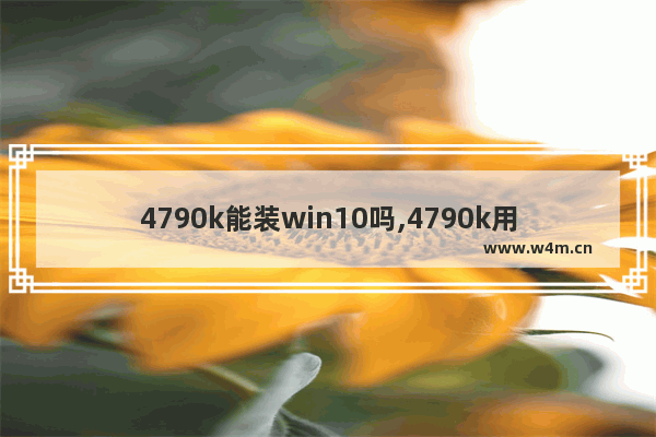 4790k能装win10吗,4790k用什么系统