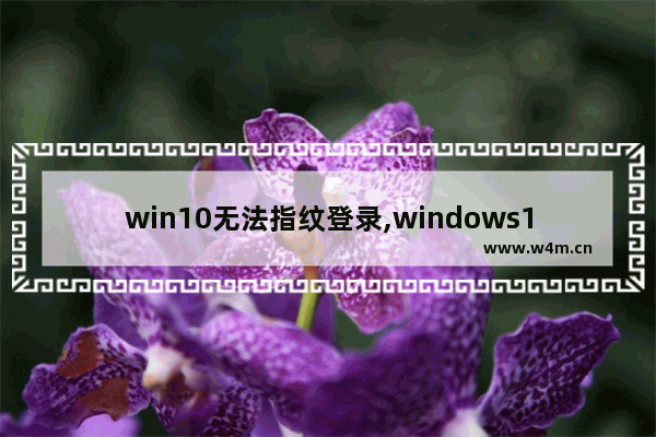 win10无法指纹登录,windows10为什么不能使用指纹登陆了